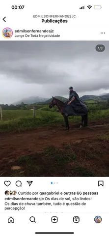 Égua mangalarga marchador 