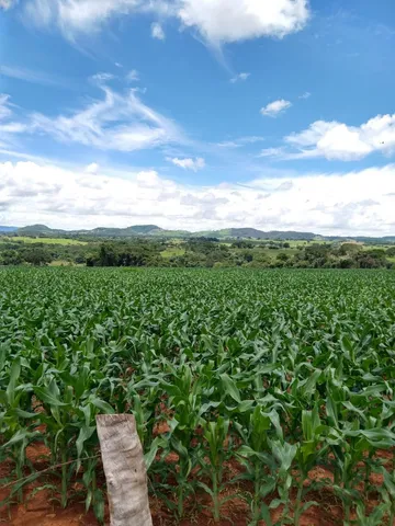 Vendo fazenda região Itaberaí