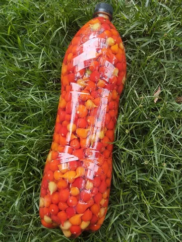 Pimenta Biquinho na Pet 2lt
