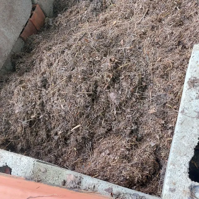 Substrato p Rosa do Deserto e plantas ornamentais