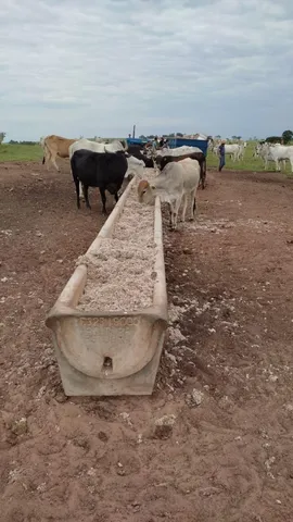 Casquinha de algodão