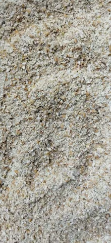 Farelo de Trigo moído 
