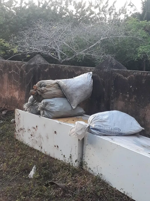 Adubo de gado puro garantindo 