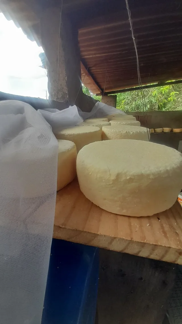 Vende-se queijo e requeijão 