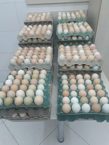 ovos caipira coloridos