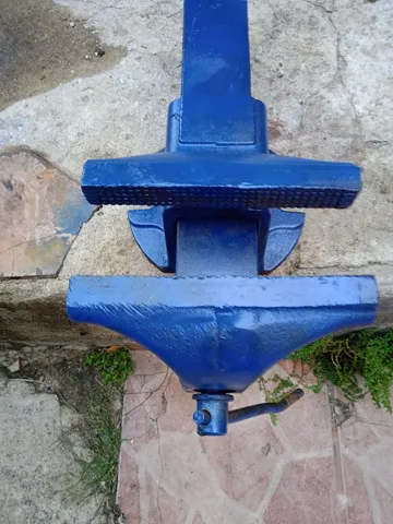 Morsa n8