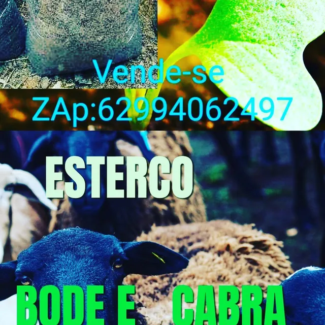 Vende se esterco (Anápolis)