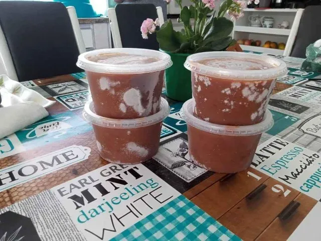 Polpa Tamarindo Pote 500G,R$10