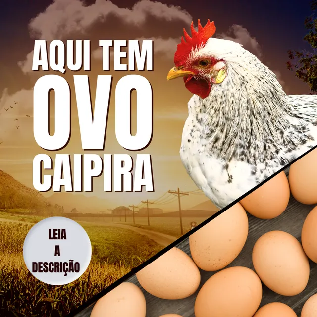 ? Ovos Caipira Fresquinhos Direto do Produtor - Promoção Imperdível! ?
