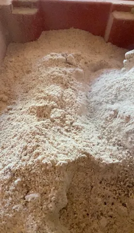 Farinha de castanha 