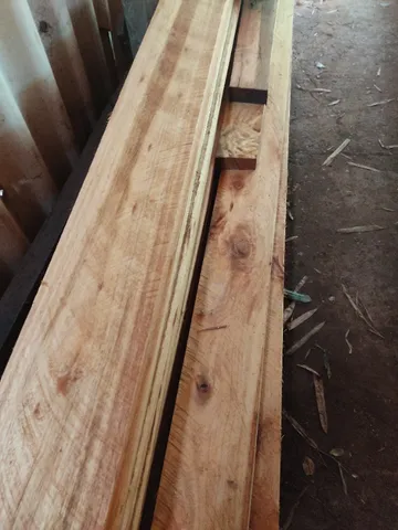 Eucalipto serrado à venda