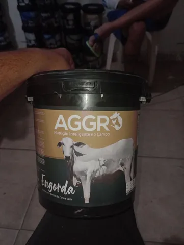 Para gado