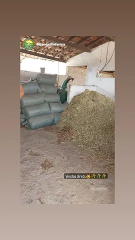 Silagem de CapiÁçu com mel 