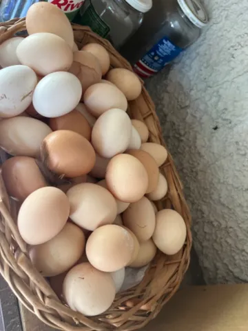 Ovo caipira 