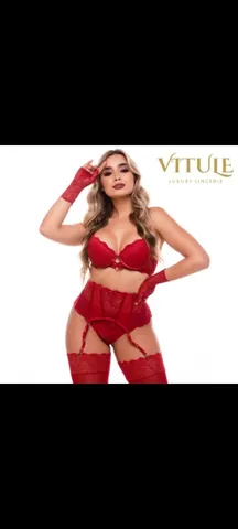 Vendo Marca/Empresa de Lingerie