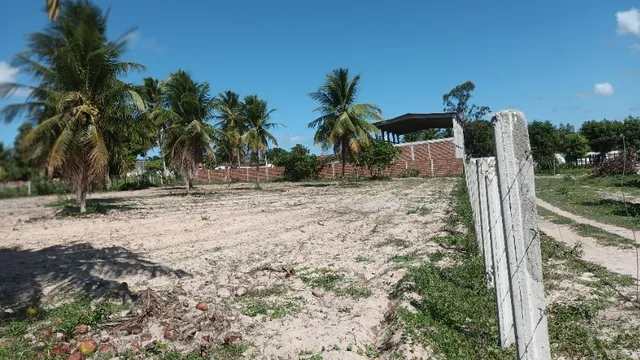 Terreno 