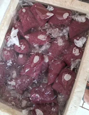 AÇAÍ DE CODAJÁS 