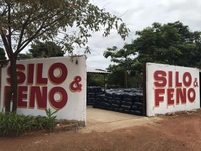 Vendo Silo e feno 