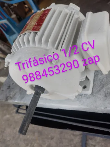 Motor de Indução Trifásico Eberle 1/2 Seminovo blindado