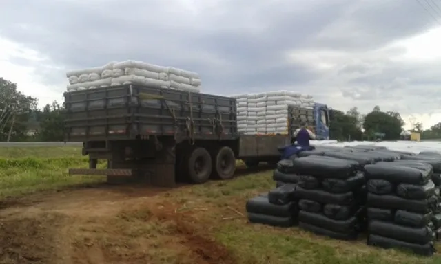 silagem de milho - tonelada ensacado -CIF porto manaus