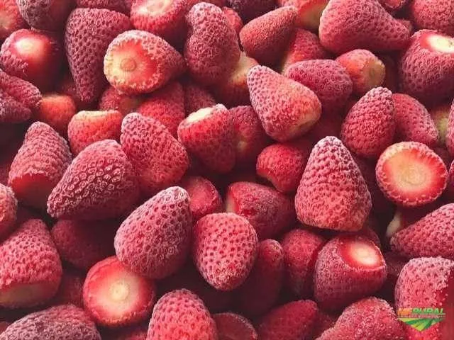 Morango Congelado Atacado / Varejo