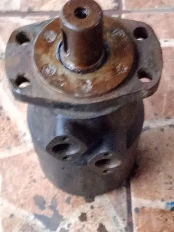 Motor hidráulico 