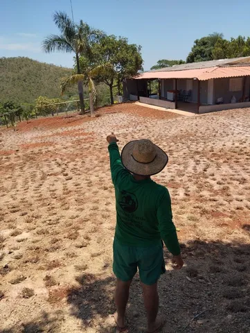 Grama batatais 