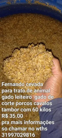 Cevada pra trato de animal 