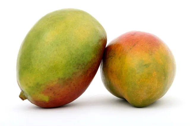 Muda de Árvore Frutíferas- manga ou mangueira 