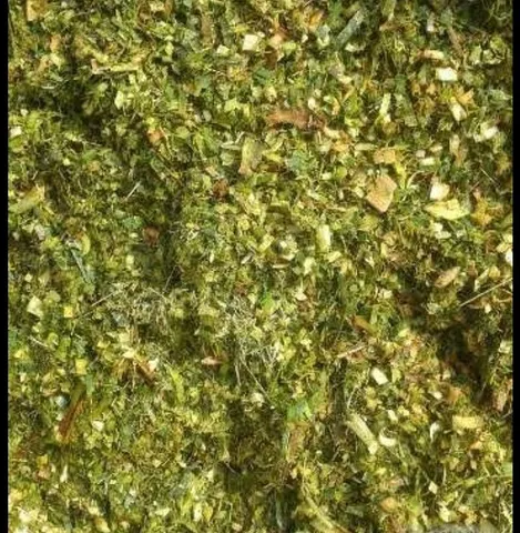 Silagem de abacaxi 