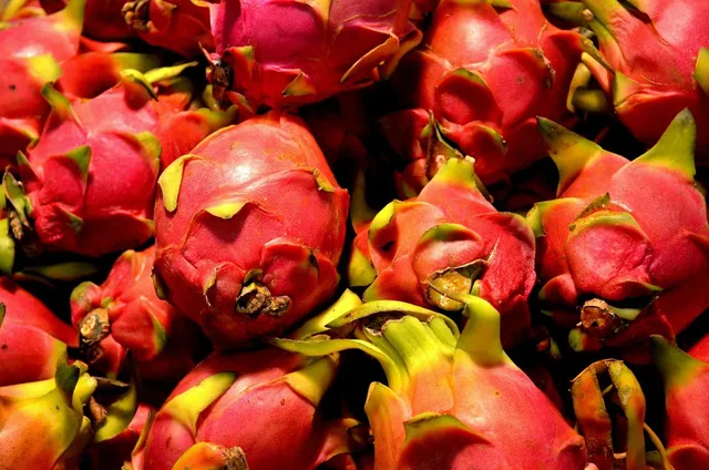 Muda de Pitaya