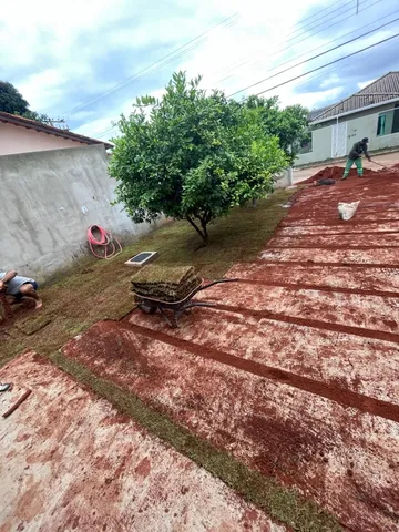 Grama de todos os tipos já plantada em promoção faça seu orçamento 