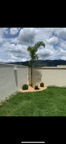 Grama plantada em mudas e tapetes na promoção leia o anúncio 