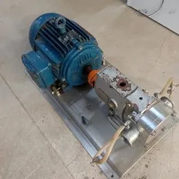 S.S Pumps bomba lóbulo