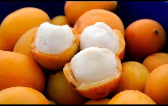 Achachaiu Fruta Boliviana
