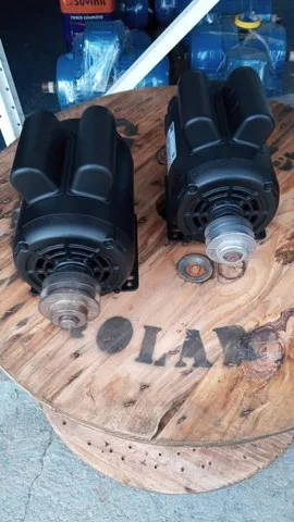 Motor elétrico monofásico para estufa de fumo.