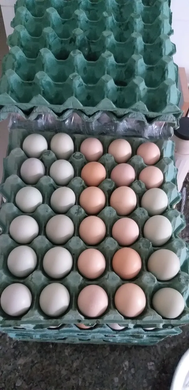 Ovos Caipira. Leia o anúncio. Oportunidade!