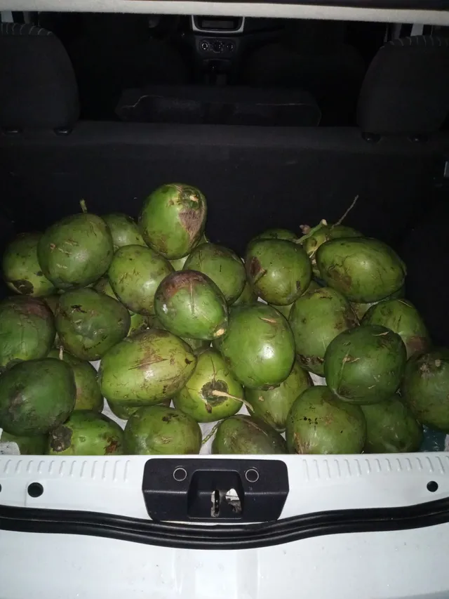 Venda de coco 