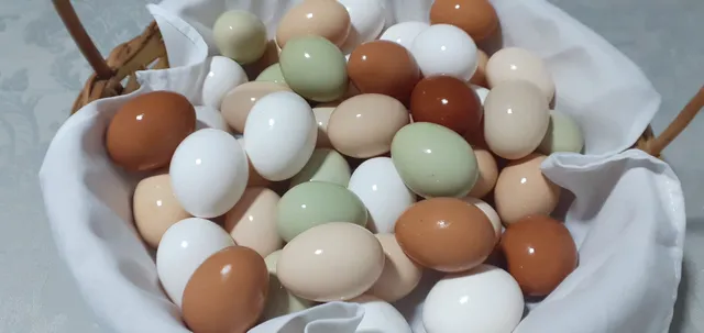 Tenho ovos caipira pra venda 