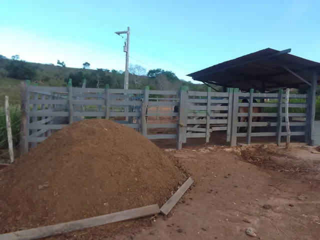 Esterco bovino pronto pra colocar em plantações 