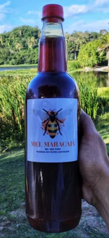 Vendo mel 100% puro de abelha italiana 