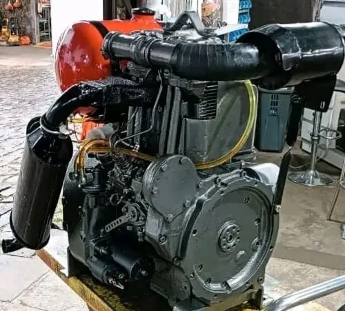 Motor agrale 2cilindros 