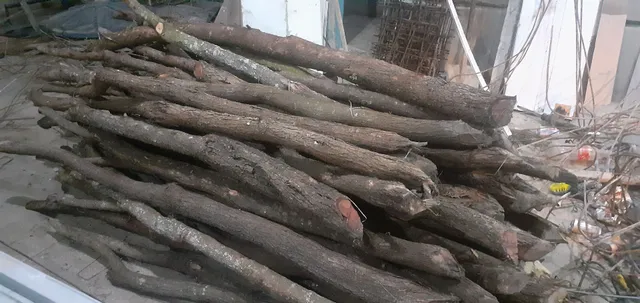 Estaca di jurema