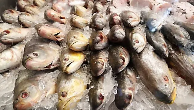 VENDE-SE PEIXE. 