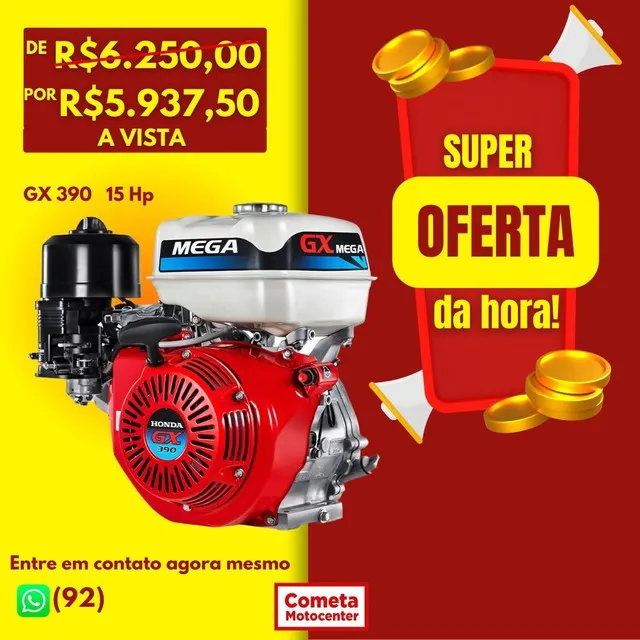 motor rabeta estacionario 