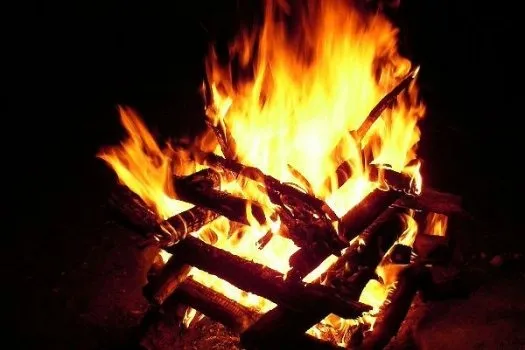 Lenha de Eucalipto para Forno, Churrasqueira e Lareira
