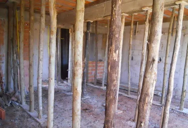Escoras de Eucalipto para Construção