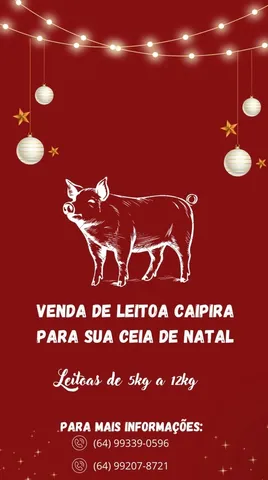 Leitoas caipira 