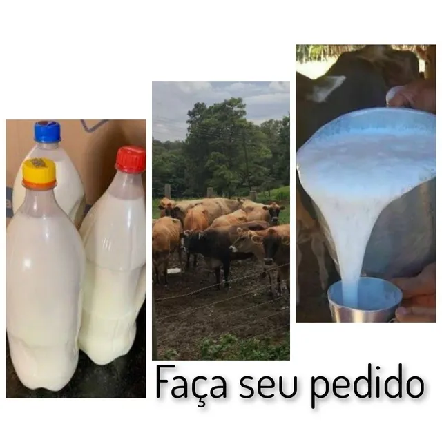Leite de vaca 100% natural