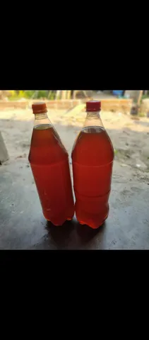 Azeite de coco 